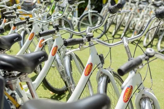 Flotte de vélos de location de l’Épicerie La Petite Camargue — vélos de ville blancs alignés sur la pelouse du camping