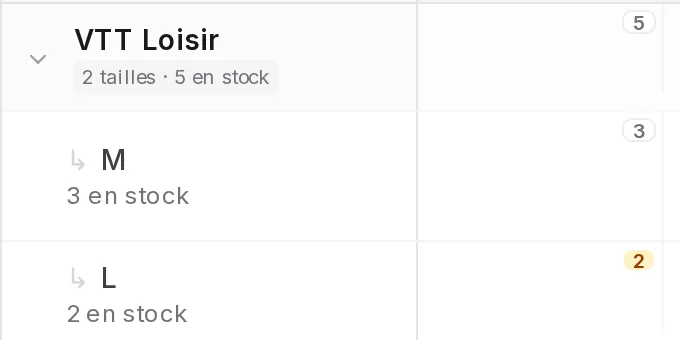 Planning VéloWebPro : le VTT Loisir, 2 tailles et 5 en stock, avec le nombre de vélos restants par taille (3 en M, 2 en L) pour la journée